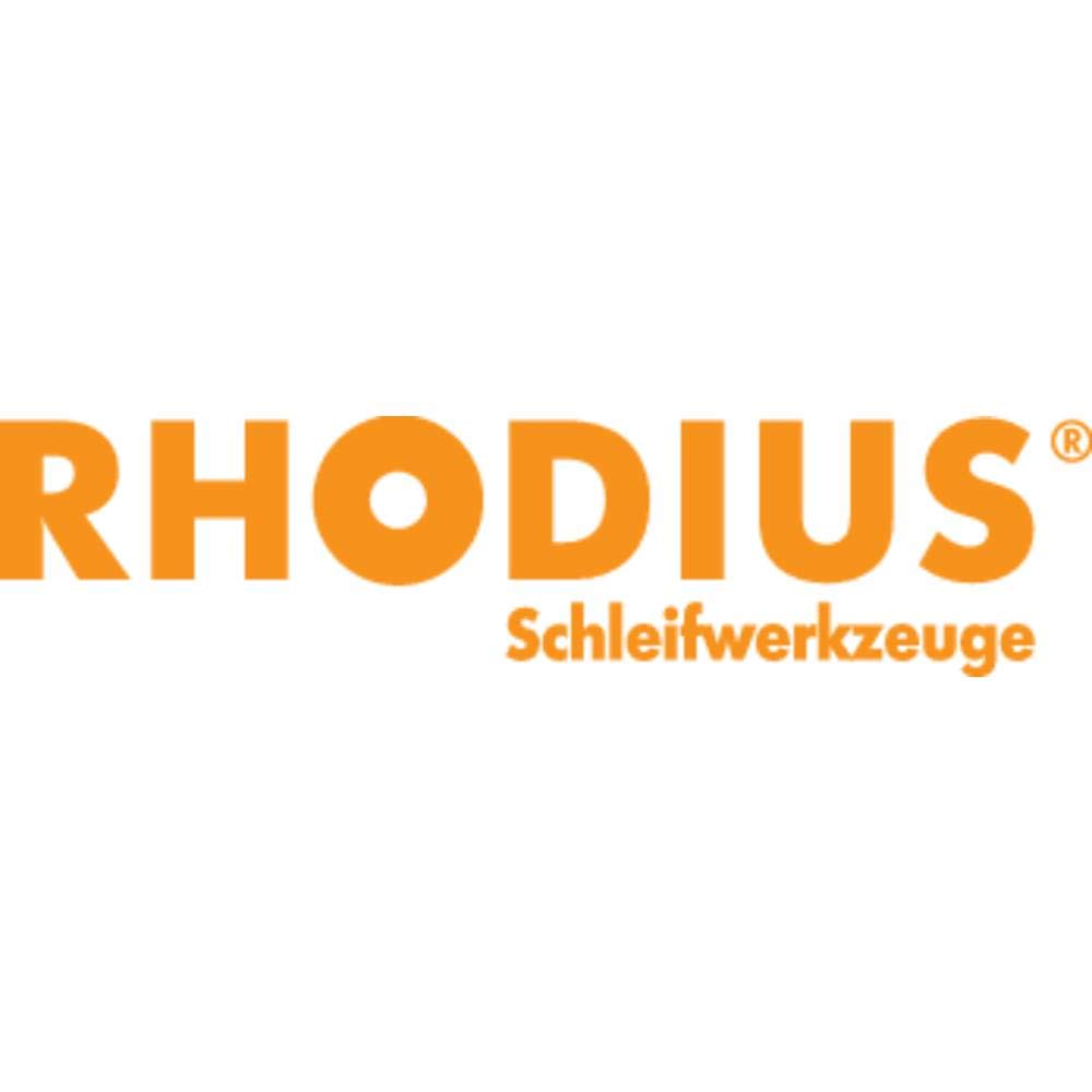Rhodius 205587 Sheet abrasive disc LSZ F1 diameter 125 mm inner diameter 2.2 cm 1 piece