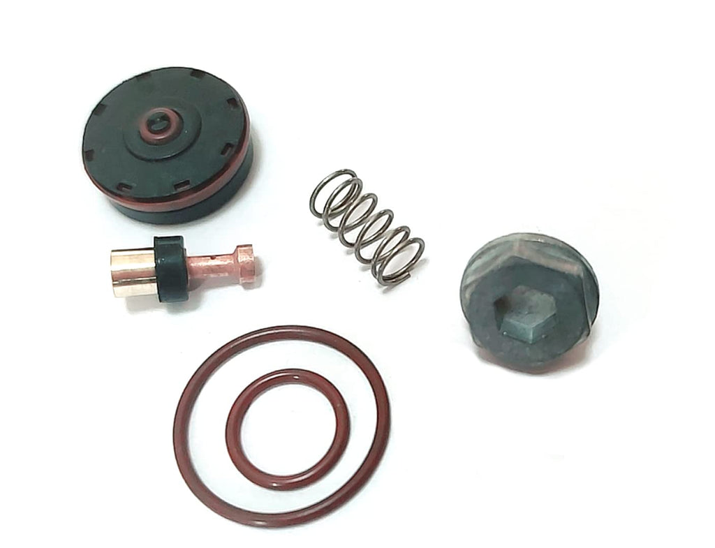 N008792 Replacement Regulator Repair Kit,Fits D55155 D55168 D55167