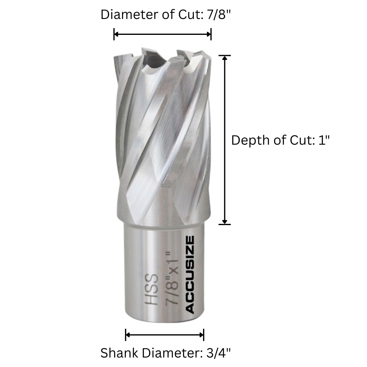 Accusize HSS Annular Cutter 7/8 x 1 in Cutting Depth, 3/4" Weldon Shank