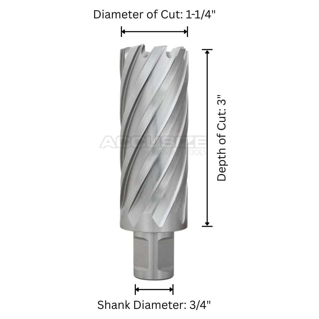 Accusize HSS Annular Cutter, 1-1/4 in Dia x 3 in Cutting Depth