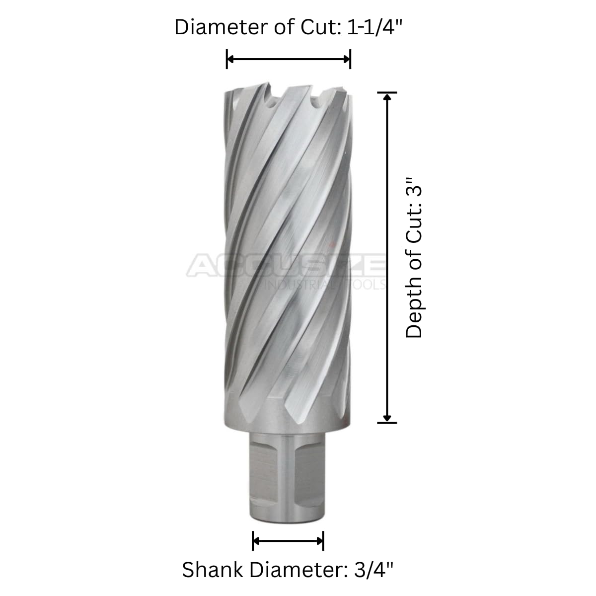 Accusize HSS Annular Cutter, 1-1/4 in Dia x 3 in Cutting Depth