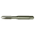 Greenfield Threading 356002 GT/VTD #0-80NF SPGP H1 2FL GP Plug Spiral Point Tap