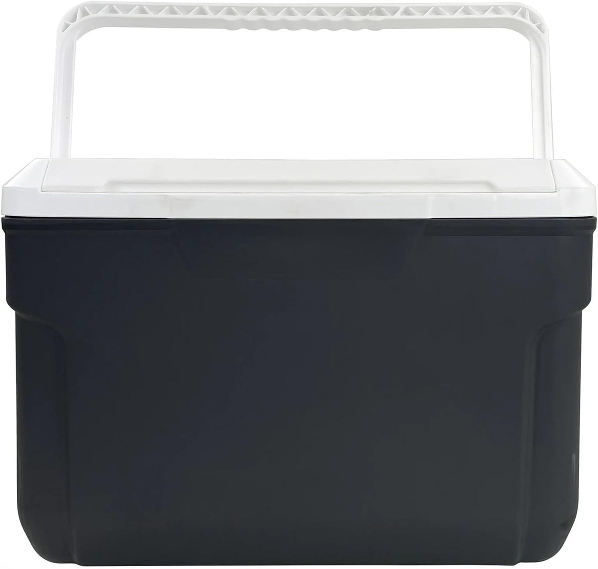 10 Quart Hard Sided Cooler – Portable Ice Chest Holds 14 Cans, Lightweight 2.78 lbs with Swing-Up Handle for Camping