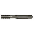 Greenfield Threading 307202 GT/VTD 11/16-16 NF HTGP H3 4FL GP Plug Hand Tap