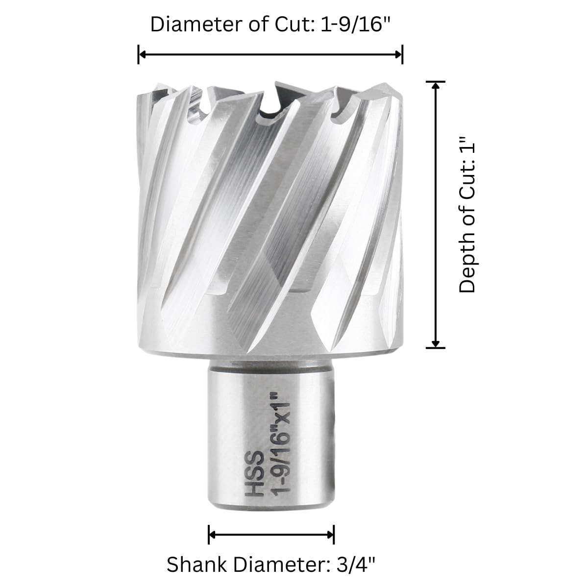 Accusize HSS Annular Cutter 1-9/16 x 1 in Cutting Depth, 3/4" Weldon Shank