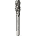 Workkyma M16 x 2 Spiral Flute Thread Tap M2 High Speed Steel Polished