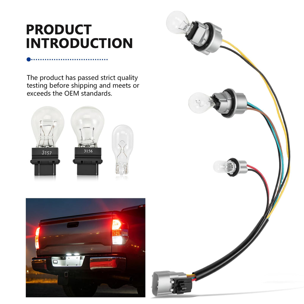 81555-0C010 Tail Lamp Light Socket Harness with Bulbs for Tundra 2000-2004