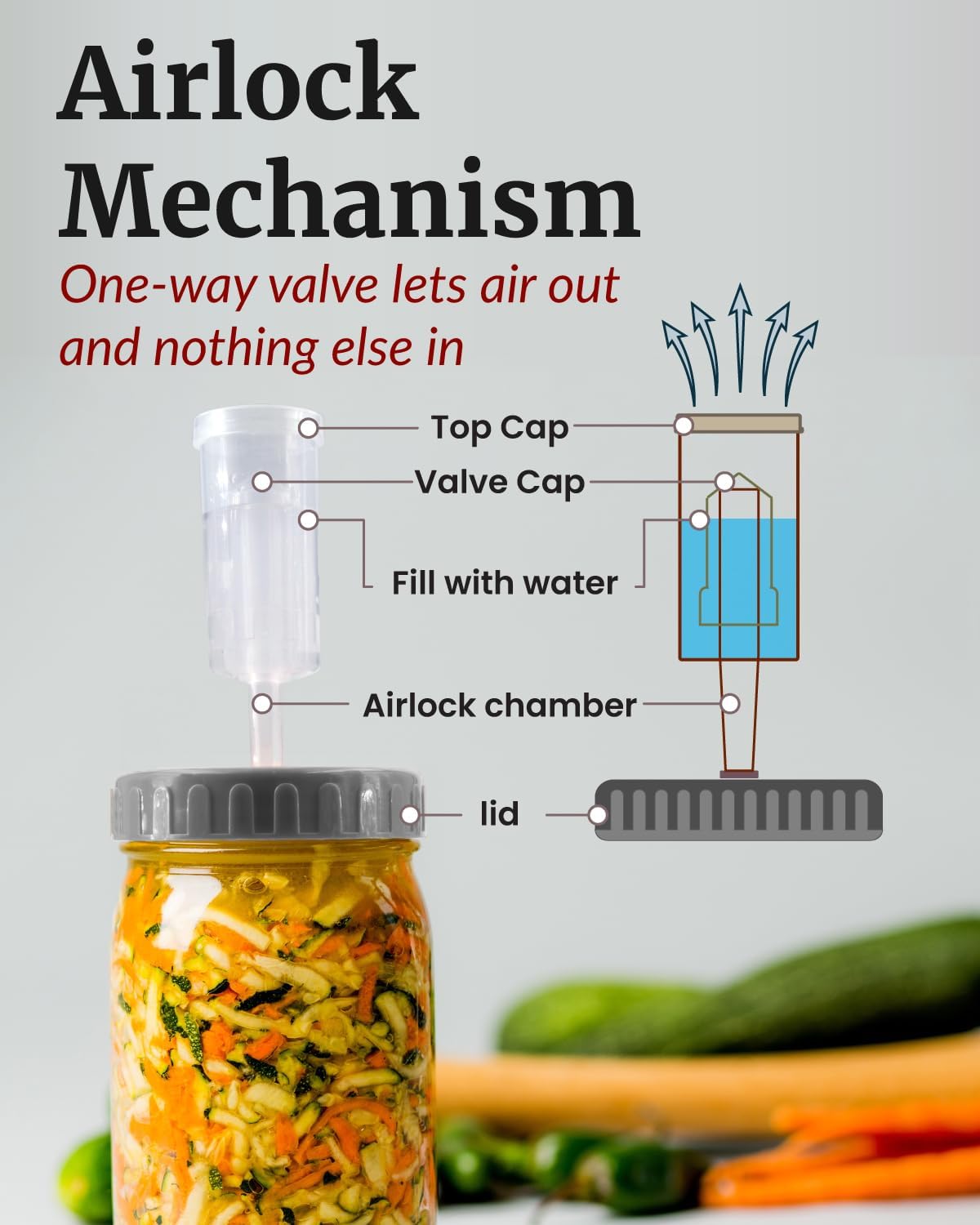 Mason Jar Fermentation Lids - Easy to Use Fermenting Lids for Wide Mouth Mason Jars - Make Delicious Sauerkraut &