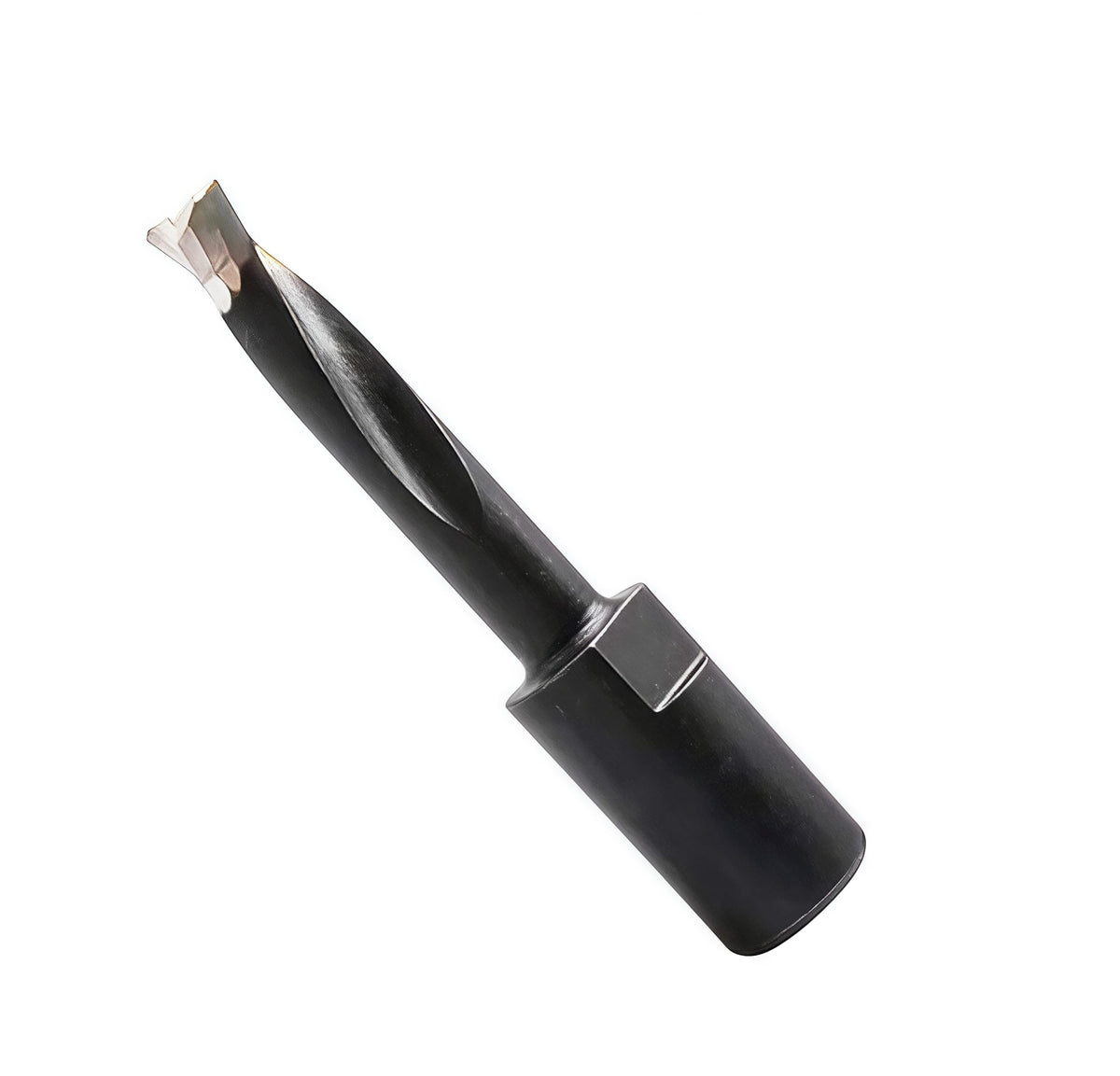 DLTOOLS Domino Bit Cutter,Domino Solid Carbide Bit 6mm Dia,fit for Domino Jointing Machine DF500.
