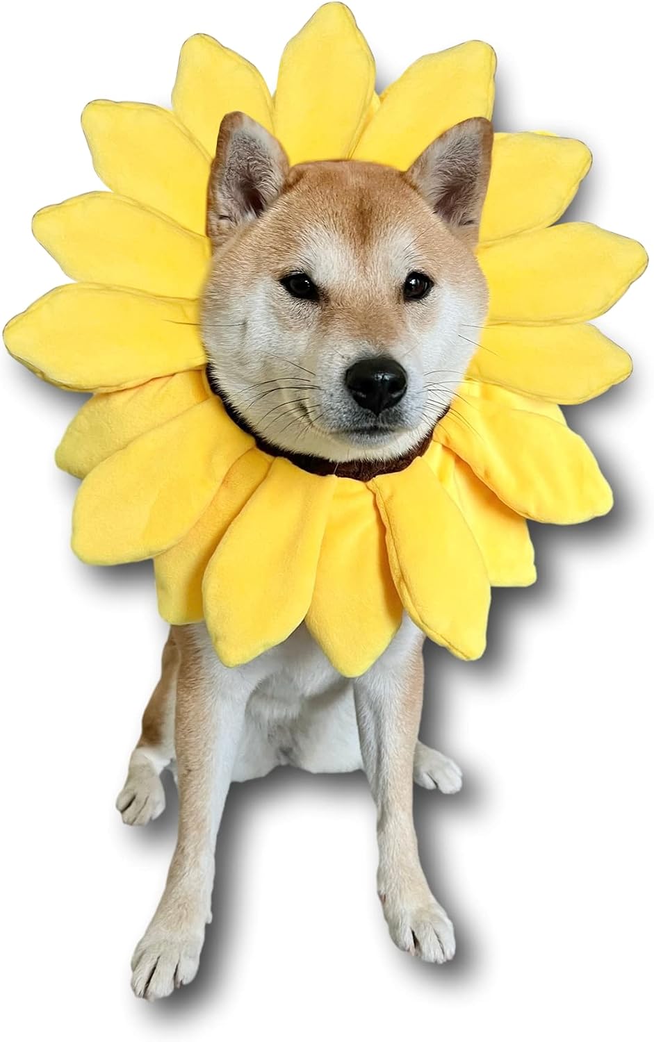 Sunflower Dog Costume for Small Medium Large Dog Puppy Puppies Cat Kitten – Cute Head Flower Headband Outfits –