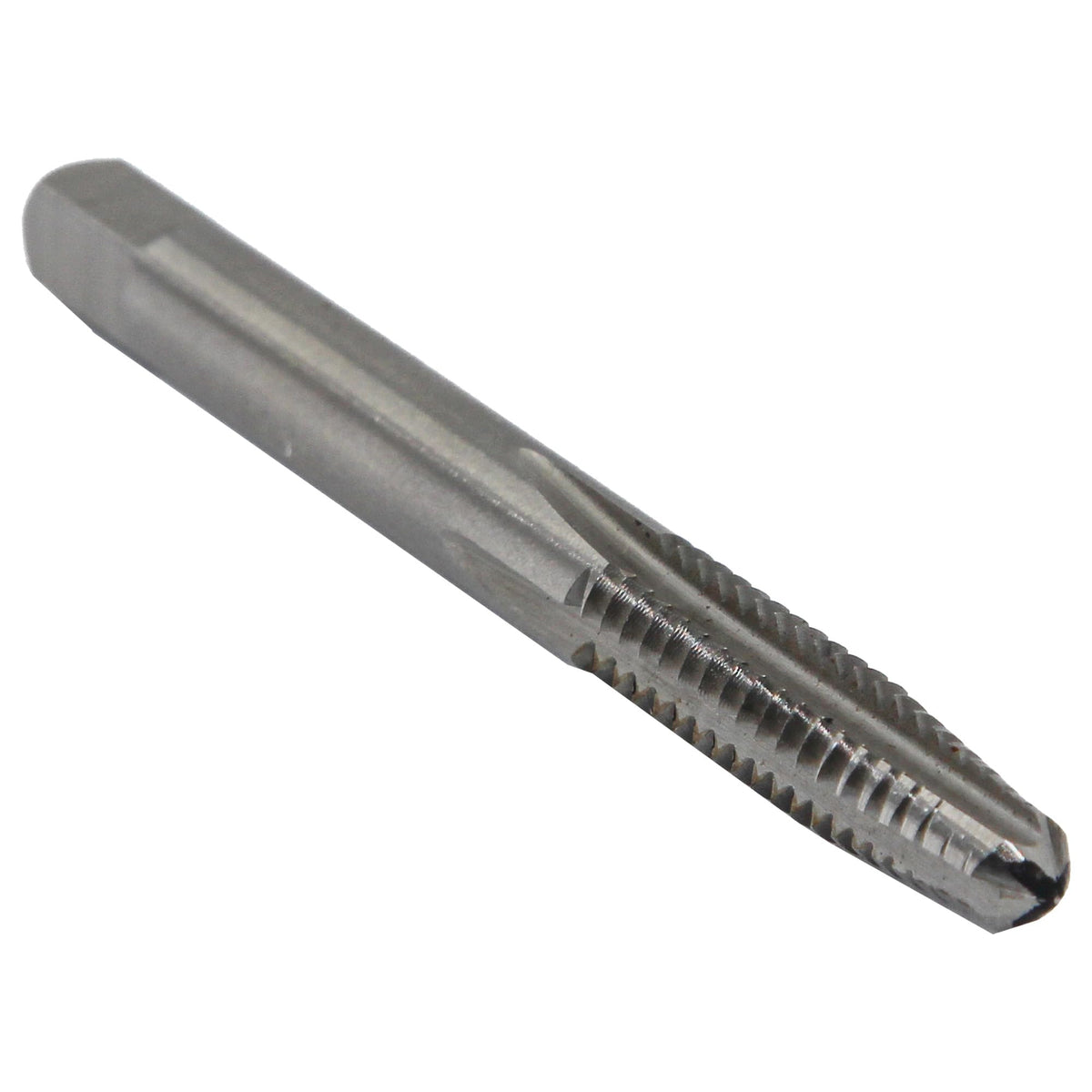 Drill America 1/4"-20 Carbon Steel Plug Hand Tap (Pack of 12), DWT Series
