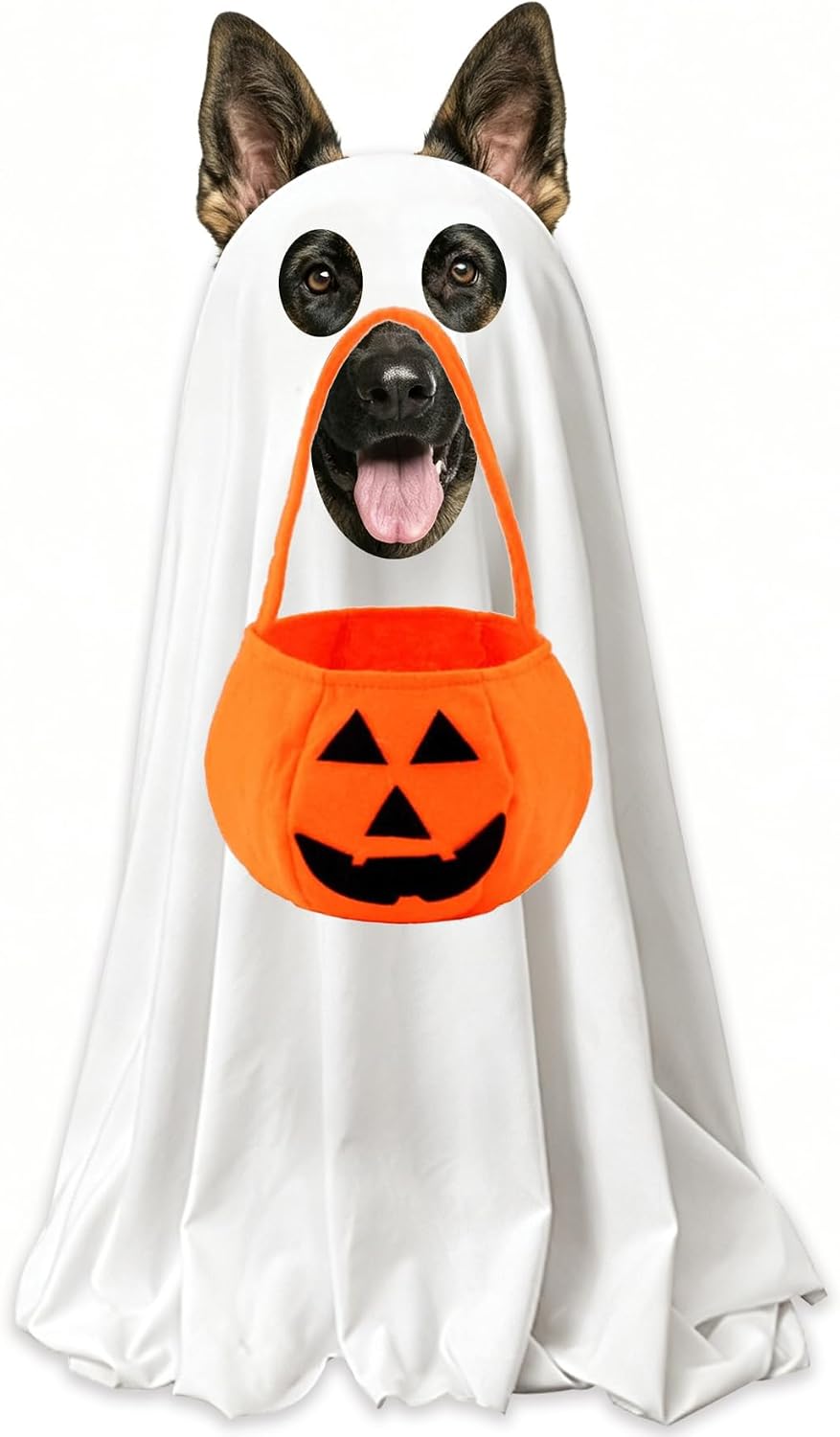 Dog Halloween Costumes