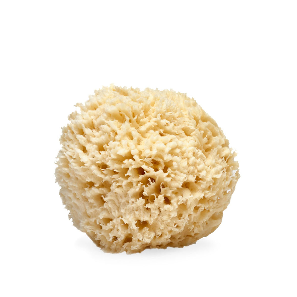 Natural Sea Wool Sponge, 4-5" - Organic Exfoliating Body Scrubber - Soft, Gentle Cleansing - Hypoallergenic - All