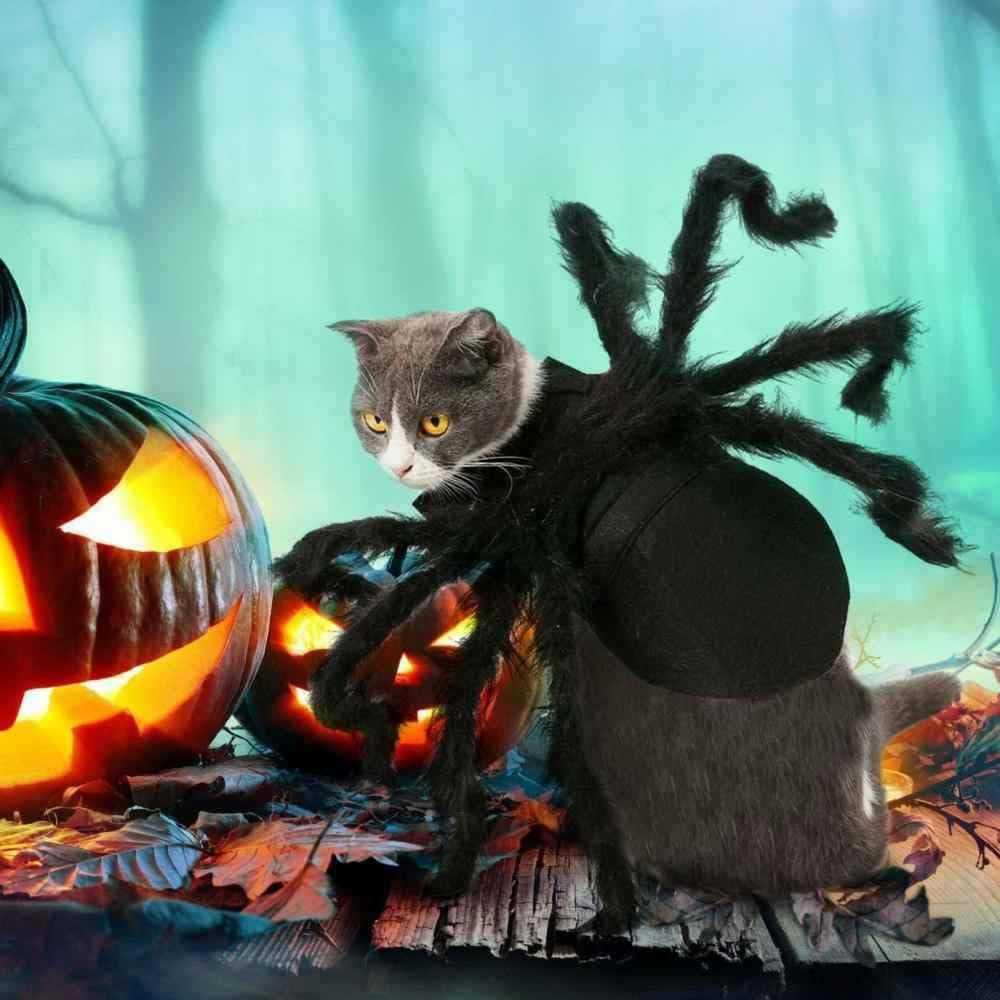 Spider Pet Costume for Halloween Cats & Small Dogs, Black