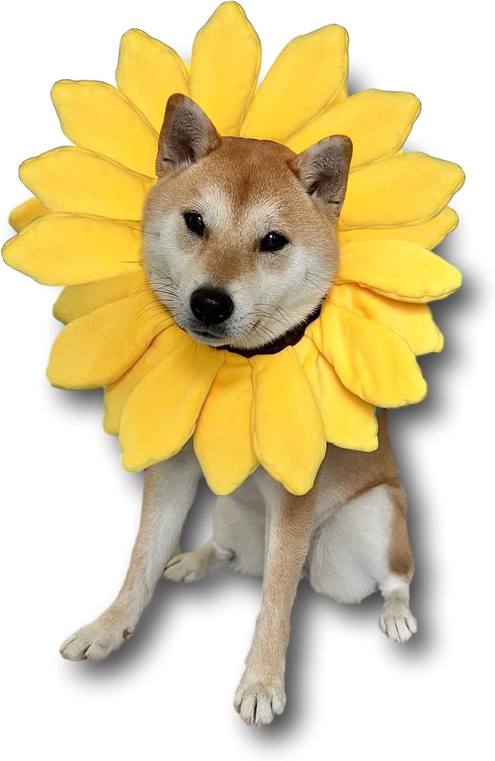 Sunflower Dog Costume for Small Medium Large Dog Puppy Puppies Cat Kitten – Cute Head Flower Headband Outfits –