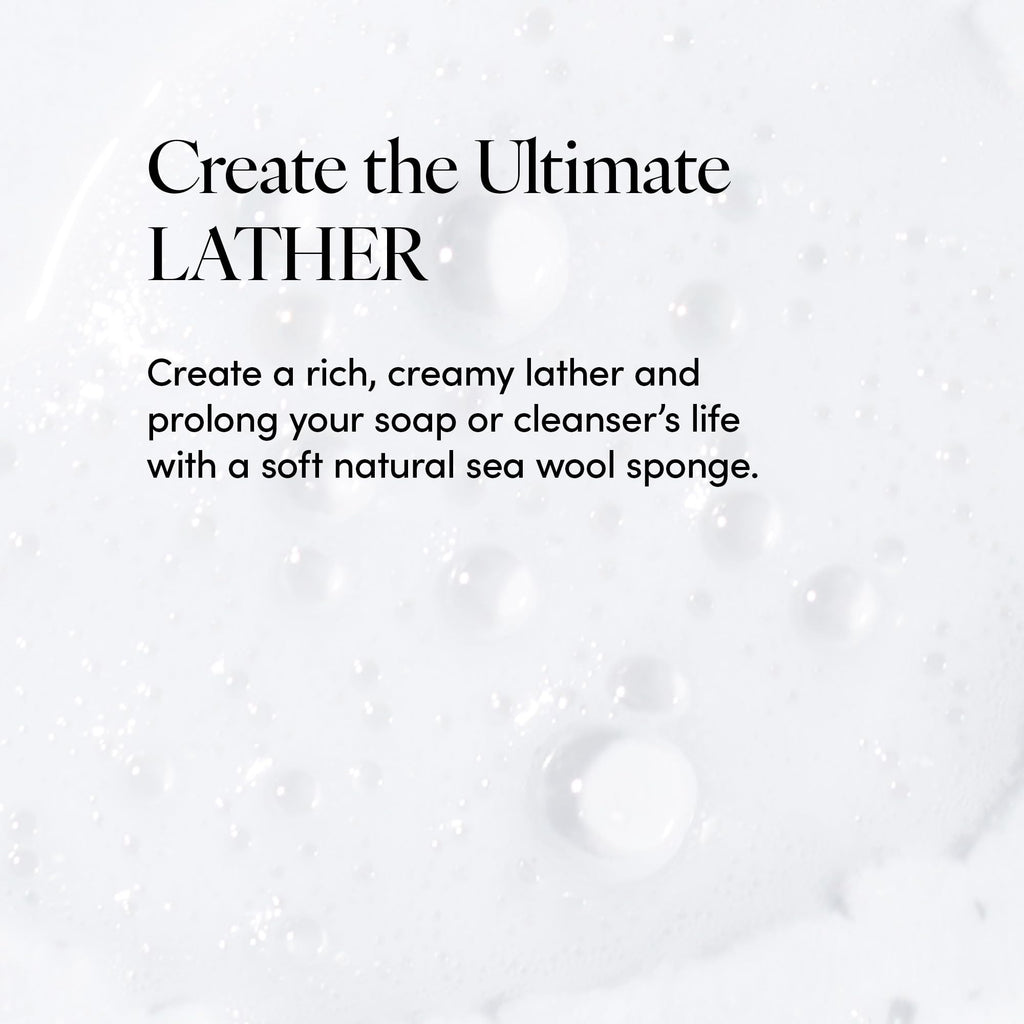 Natural Sea Wool Sponge, 4-5" - Organic Exfoliating Body Scrubber - Soft, Gentle Cleansing - Hypoallergenic - All