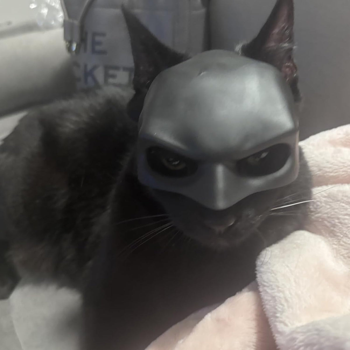 Cat Mask Cosplay, Cat Halloween Costumes, Funny Cat Costumes Accessories (Large)