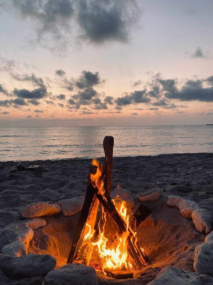 Pizza Oven Wood – Hawaiian Kiawe Mesquite Firewood Sticks (Large Box) for Ooni, Gozney & Solo Stove | Kiln Dried