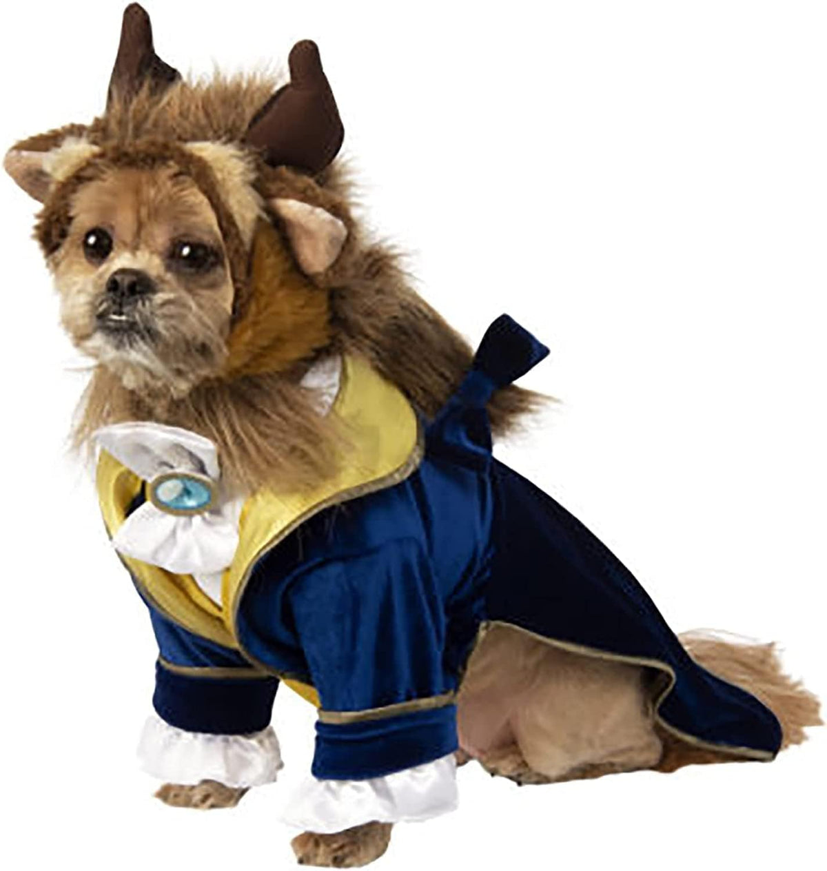 at Party City Disney's Beauty & The Beast: Beast Pet Costume for for Dogs or Cats, XXXL