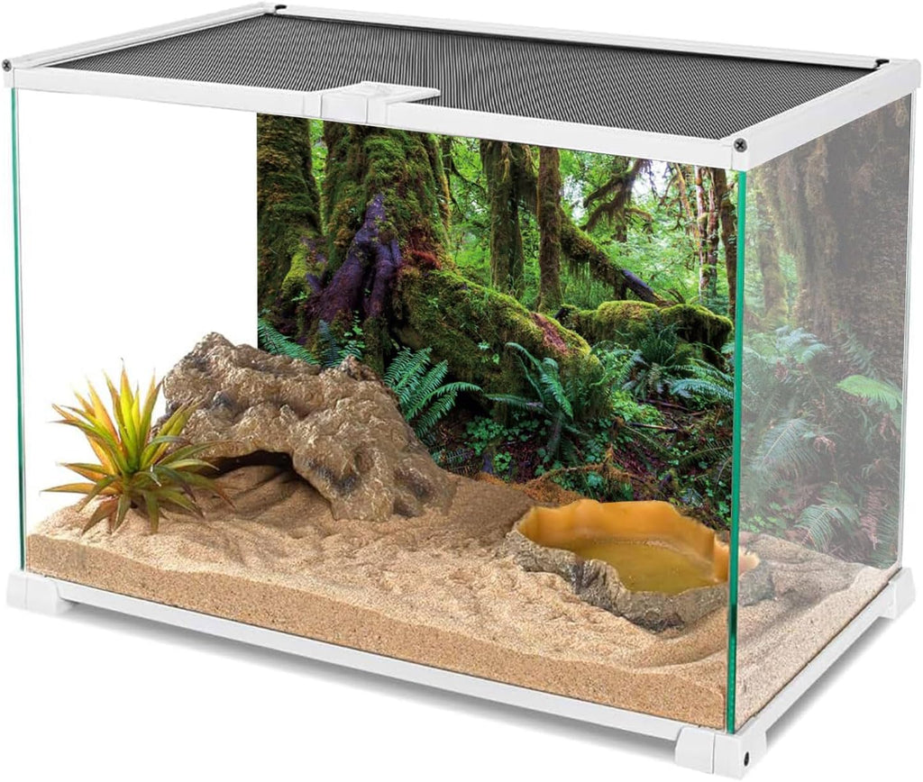 36x18 in Terrarium Backdrop Rainforest Moss Tree Reptile Habitat Background