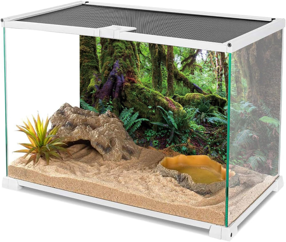 36x18 in Terrarium Backdrop Rainforest Moss Tree Reptile Habitat Background