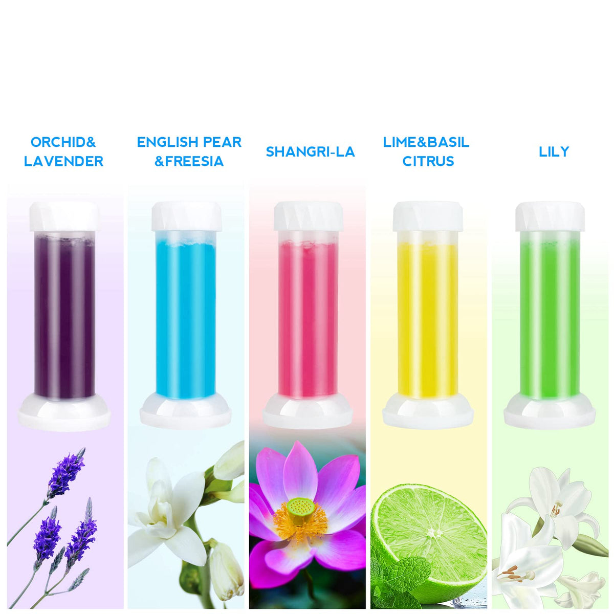 Toilet Gel, 60 Count 5 Kinds Of Scent Toilet Cleaner Bowl Gel Stamp Kit Air Freshener