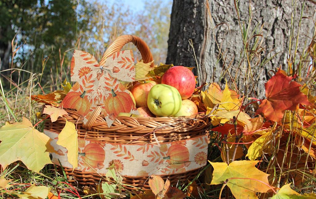 2 Rolls Fall Ribbons for Wreath Bows Wrapping Gifts, Orange Plaid Pumpkin Autumn Ribbon for Gift Wrapping