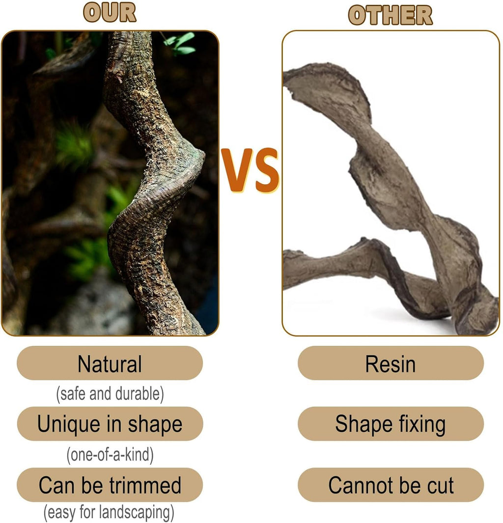 Reptile Decor 4PCS Natural Forest Branch Terrarium Habitat Wood Decoration Lizard Climbing Tree Branch for Bearded