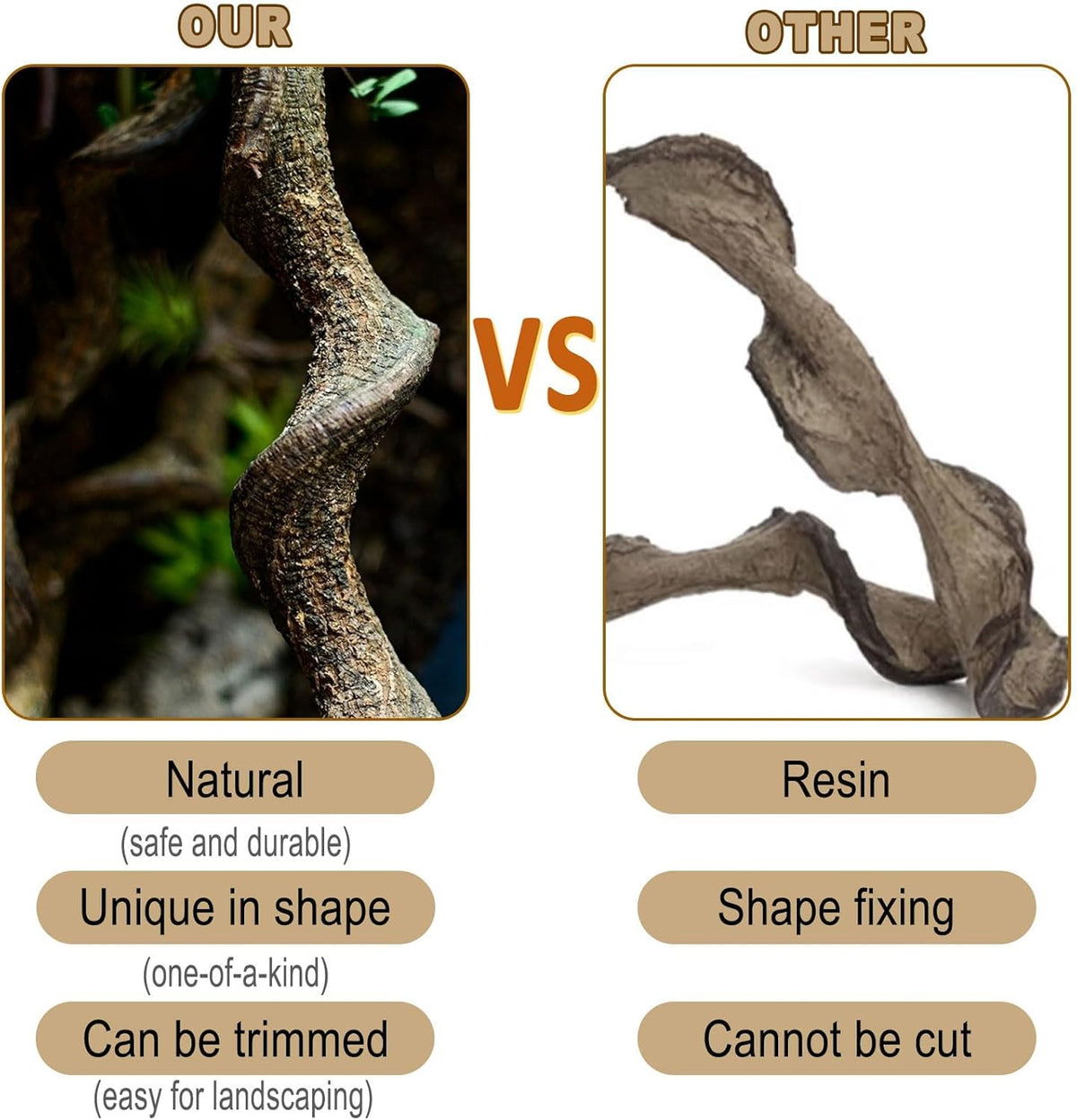 Reptile Decor 4PCS Natural Forest Branch Terrarium Habitat Wood Decoration Lizard Climbing Tree Branch for Bearded