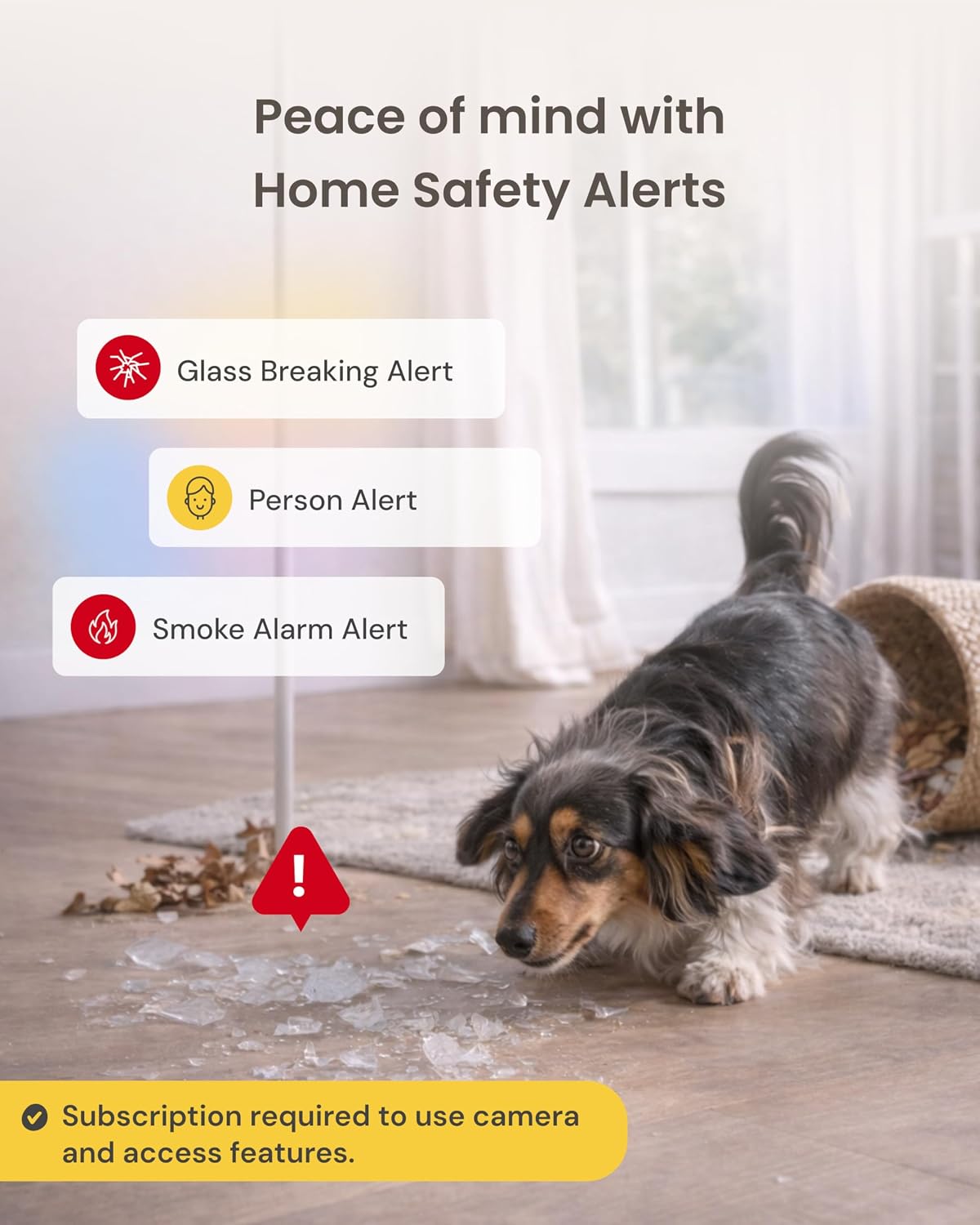 360° Dog Camera + Power Adapter [Subscription Required] Unlock w/Paid Plan: Dog Safety Alerts, Rotating Pet Treat