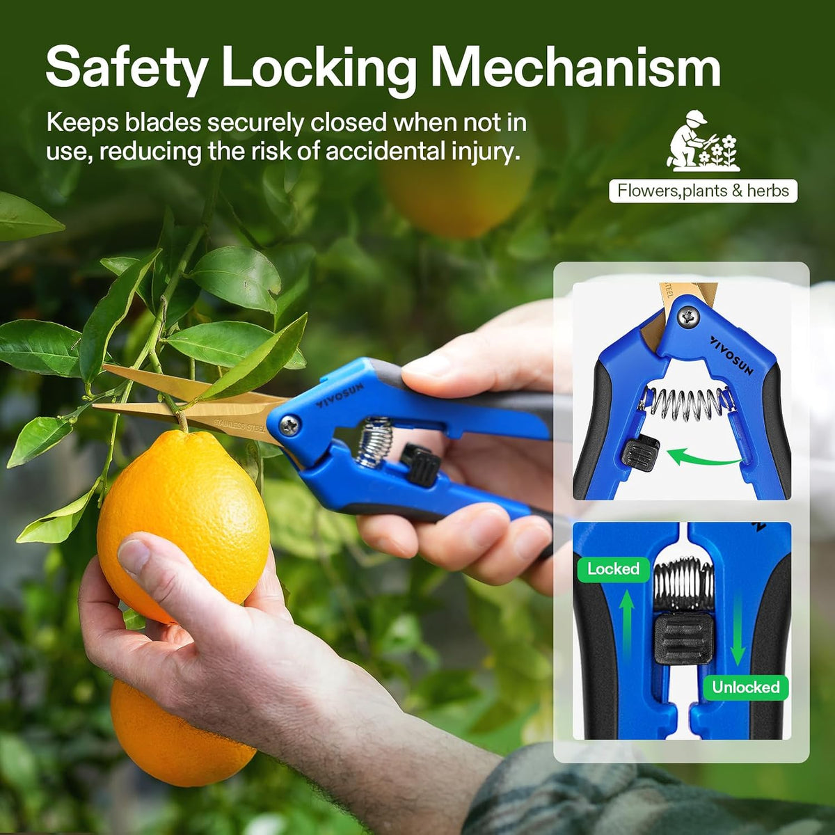 6.5 Inch Garden Scissors, Blue Pruning Shears for Plants, 2-Pack | Curved Precision Stainless Steel Blades, Comfort
