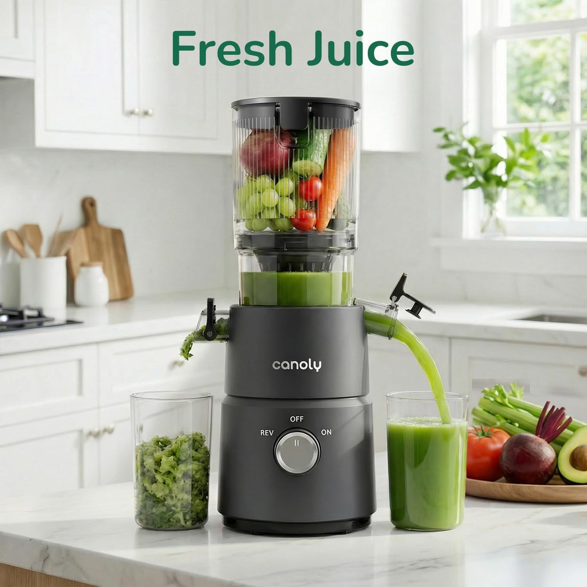 2-in-1 Cold Press Juicer C03, Makes Juice & Nut Milk | 4.5" Wide Feed Chute Masticating Juicer Machine, 2-in-1