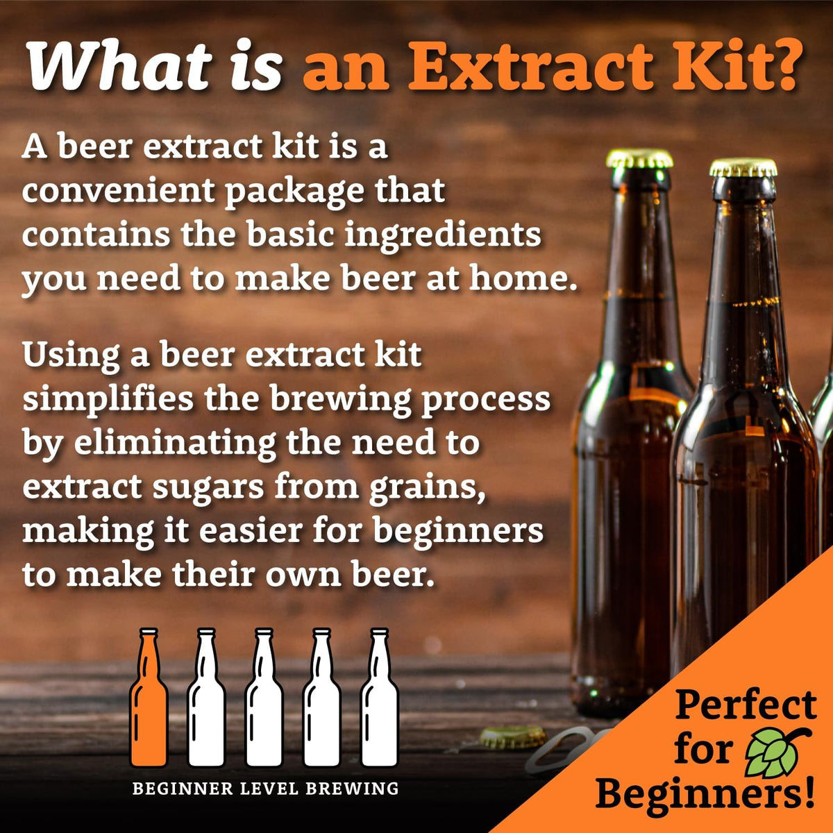Blackberry Cream Ale Extract Kit | Golden Light & Pale Dry Malt Extract | Natural Blackberry Flavoring | Willamette