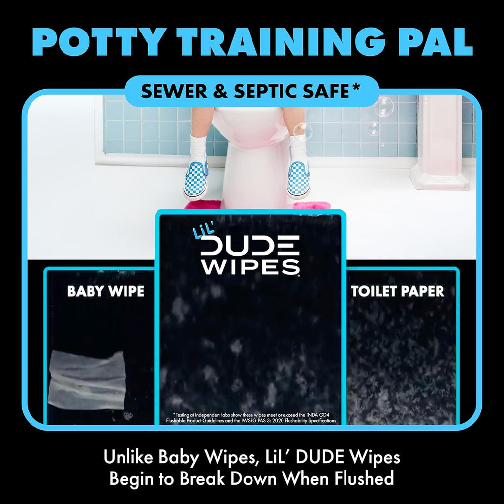 Flushable Potty Training Water Wipes, Unscented, 168 Count
