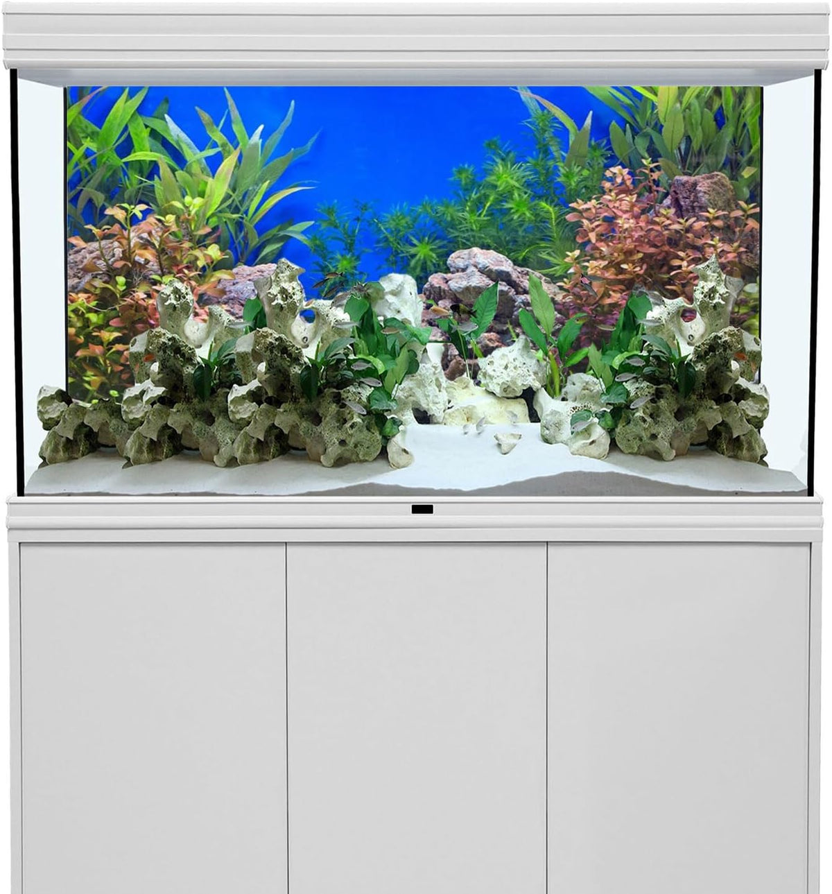 48x24 in Aquatic Plant Fish Tank Background Stone Aquarium Backdrop