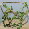 8FT Reptile Vines and Flexible Reptile Leaves