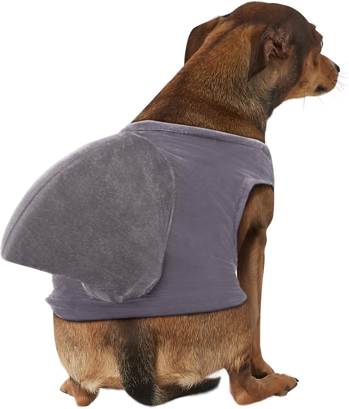 Shark Fin Pet Costume for Dogs or Cats, S/M