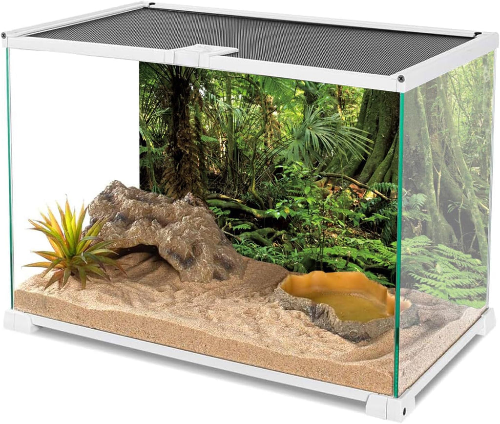 36x18 in Terrarium Backdrop Green Forest Tree Reptile Habitat Background