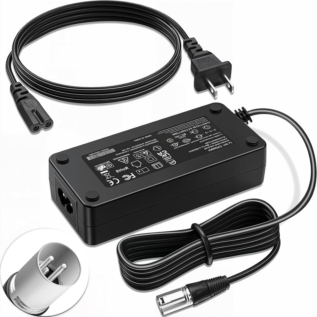 29.4V 5A 3-Pin XLR Lithium Battery Charger for Mobility Scooter,Power Chair, Compatible with Pride Mobility Go-Go, Jazzy, Shoprider, Golden Technologies, Drive Medical, Buzzaround, 24V Li-ion Battery
