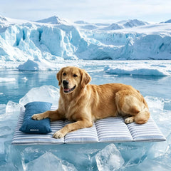 Dog Cooling Mat — Cooling Bed with Pillow