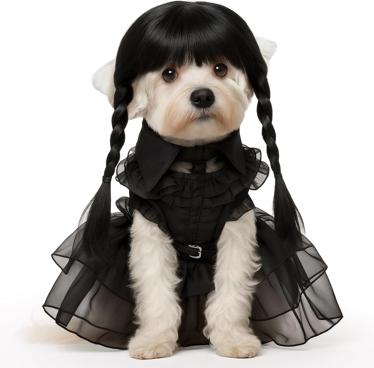 3 Pcs Halloween Dog Costume Gothic Dress with Wig Belt for Pets,L