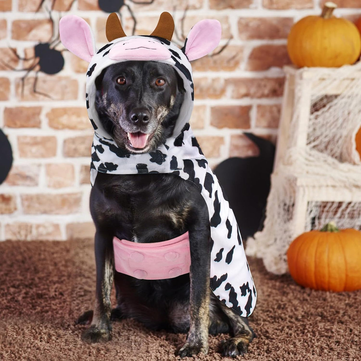 Cow Dog Costume Clothes, Dog Halloween Costumes for Small Medium Dogs