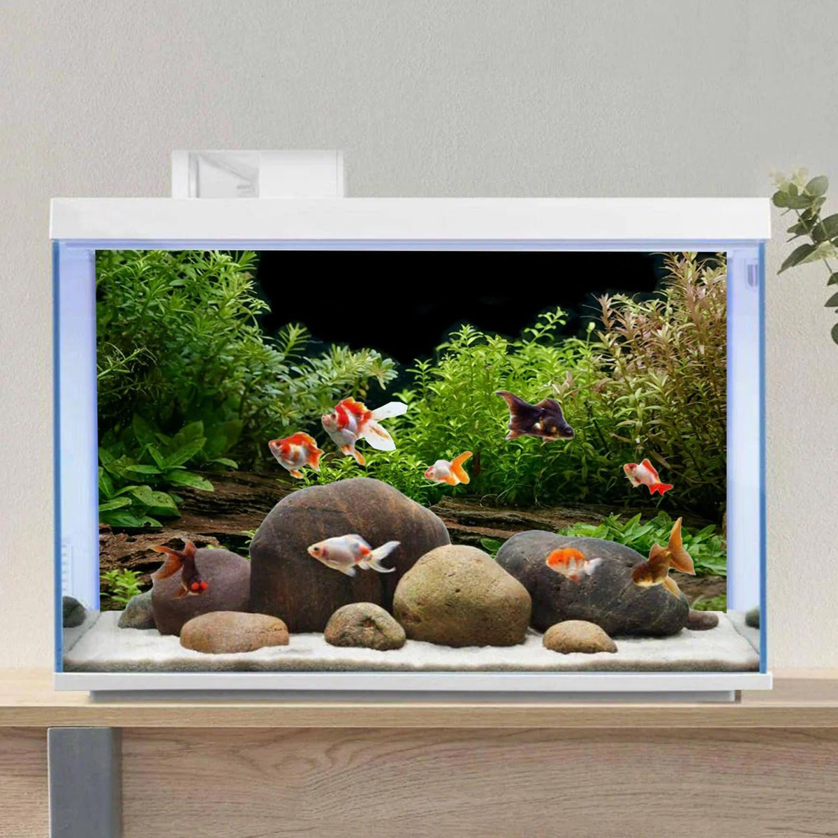 Aquarium Background Aquatic Plant Fish Tank Background Vinyl 30x18 inches