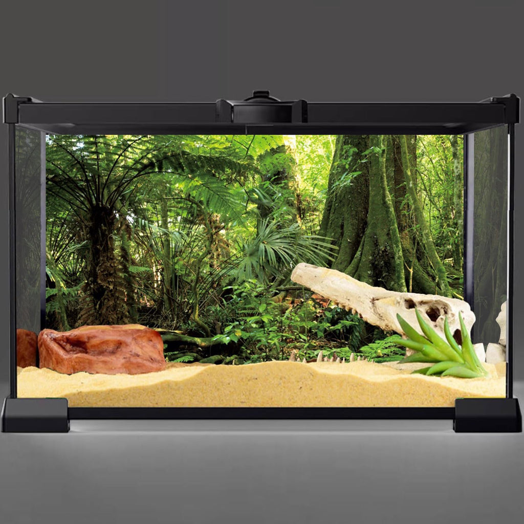 36x18 in Terrarium Backdrop Green Forest Tree Reptile Habitat Background