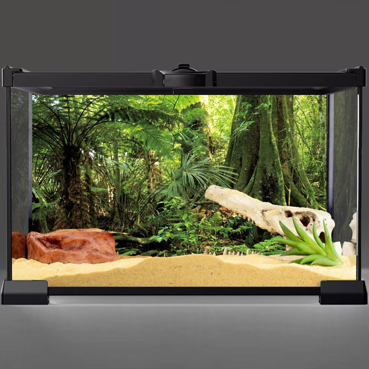 36x18 in Terrarium Backdrop Green Forest Tree Reptile Habitat Background