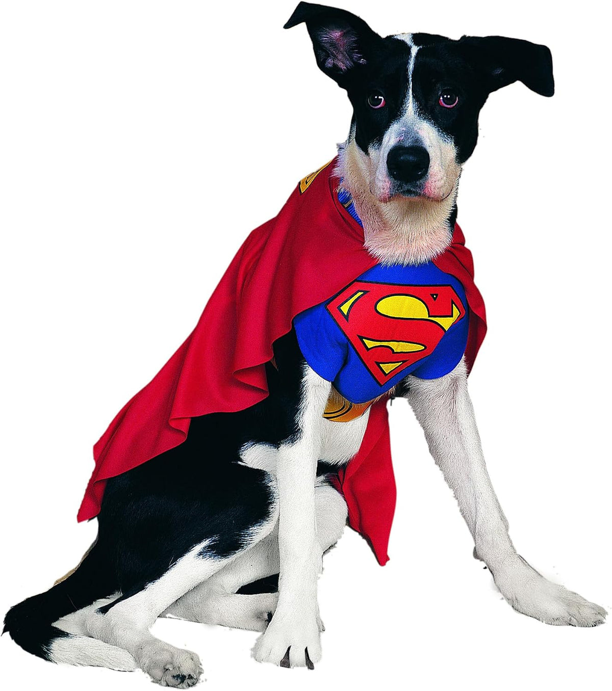 DC Comics Superheroes: Superman Pet Costume for For Dogs or Cats by Rubies, XL