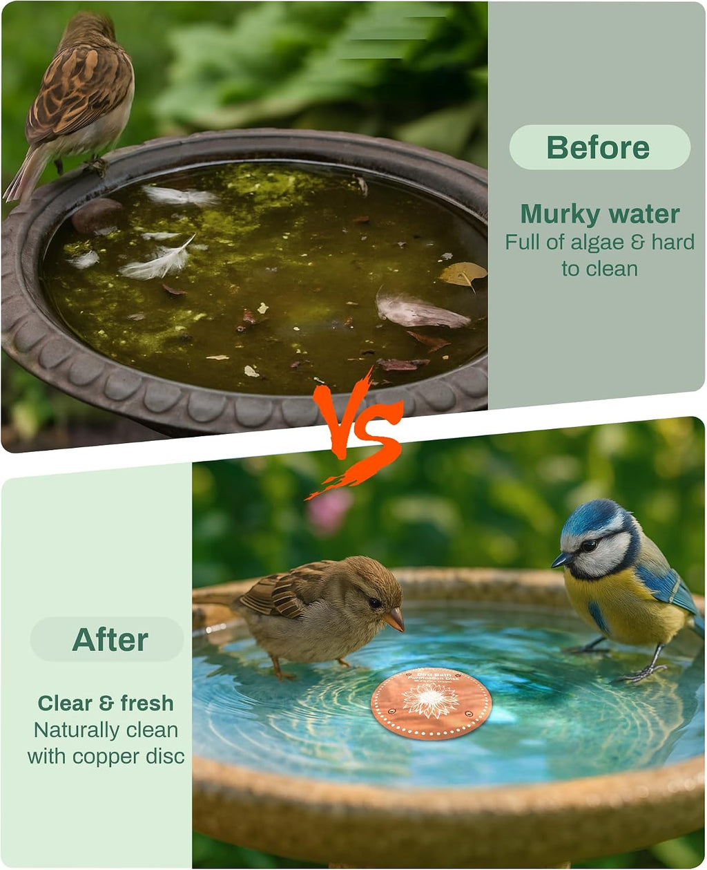 Bird Bath Purification Disk Pure Copper Outside Winter Solar Power Birdbath Hummingbird Bee Water Fountain Solar