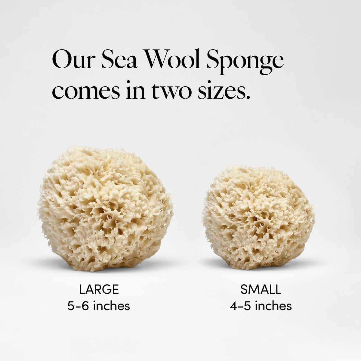 Natural Sea Wool Sponge, 4-5" - Organic Exfoliating Body Scrubber - Soft, Gentle Cleansing - Hypoallergenic - All