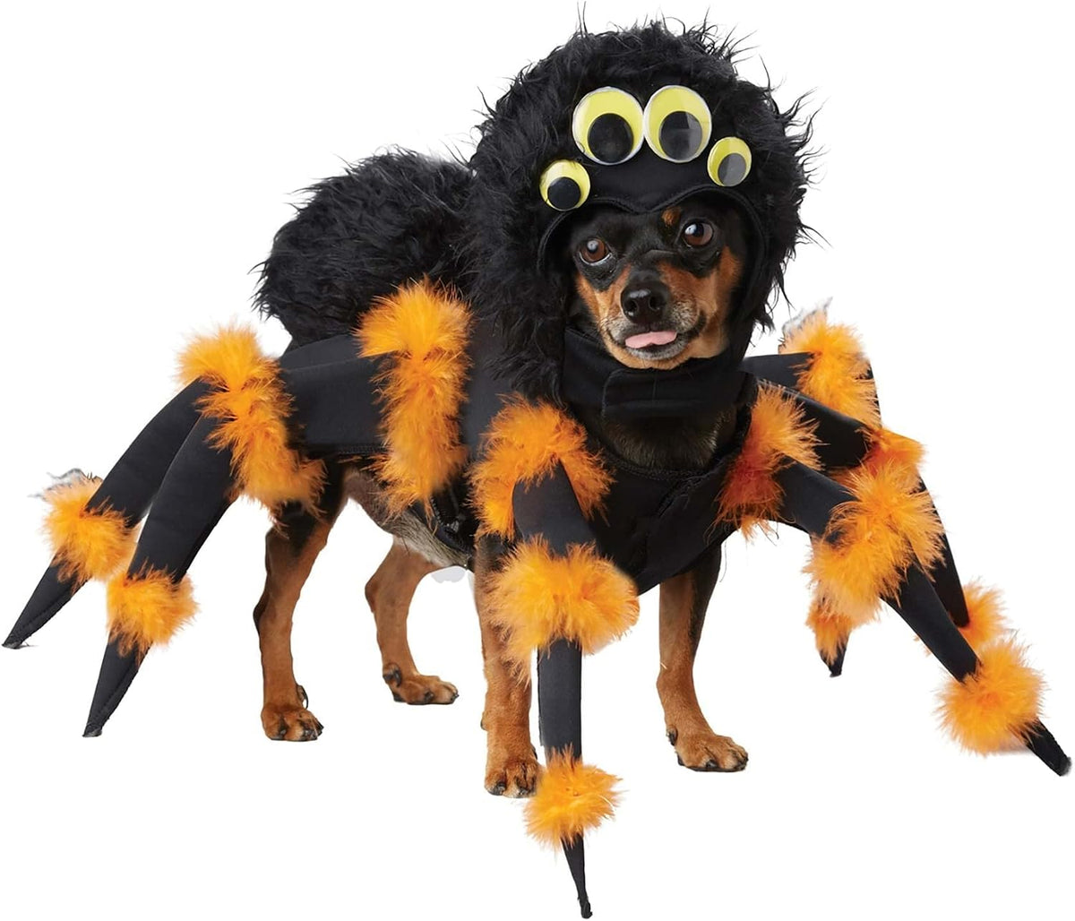 Spider Pup, Dog Costume Small