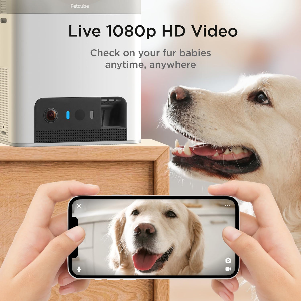Bites 2 Lite Pet Camera [Subscription Required] - Treat Dispenser